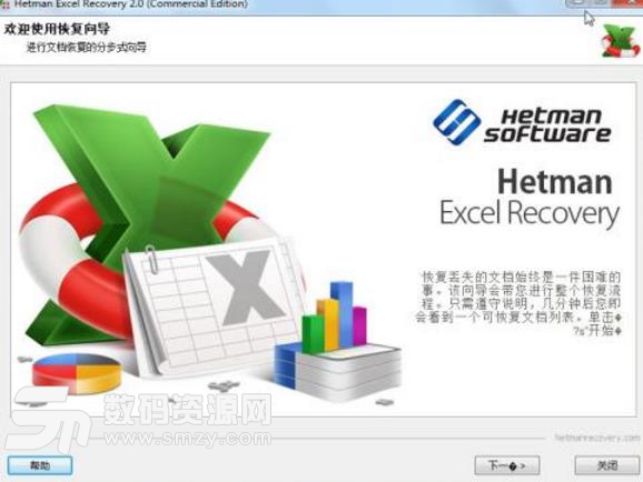 Hetman Excel Recovery支持什么类型的文件