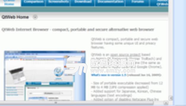 QtWebBrowser免费版