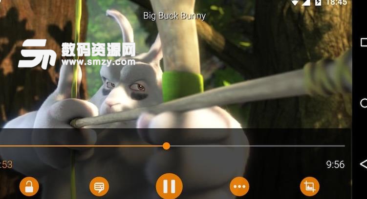 VLC Media Player手机版(多媒体播放器) v3.2.3 ios版