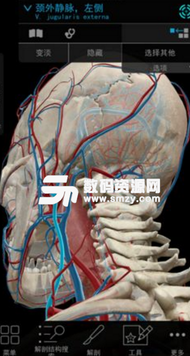 2017人体解剖学图谱安卓版(附彩图图集) v1.3 手机版