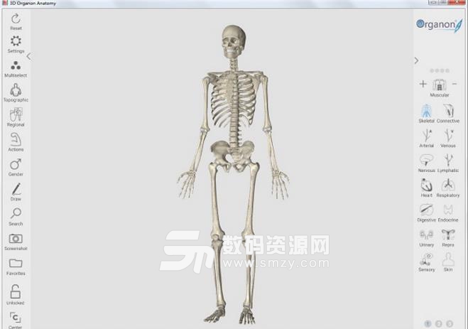 3d人体解剖软件免费版