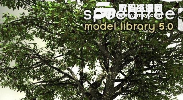 speedtree中文PC版