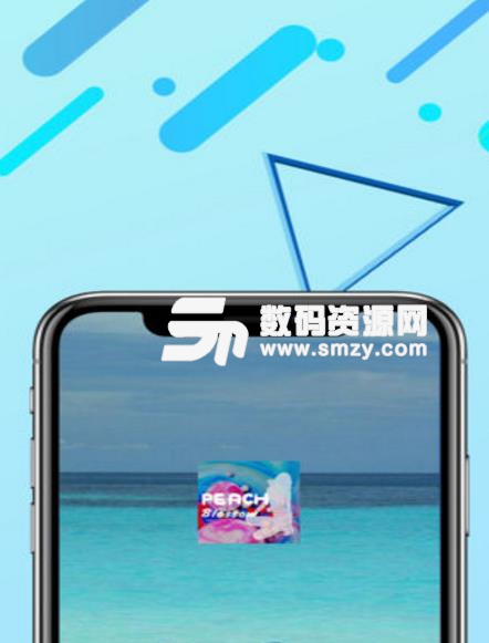 桃花佳缘手机版(全新聊天交友服务) v1.1 Android版