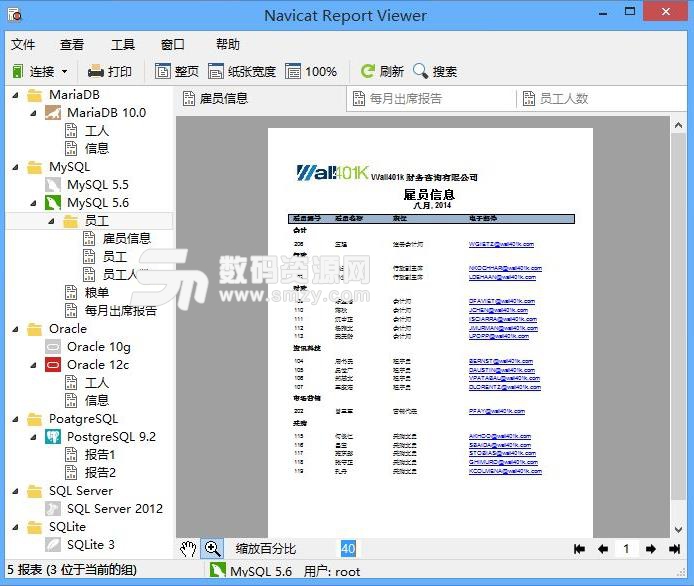 Navicat Report Viewer永久授權版