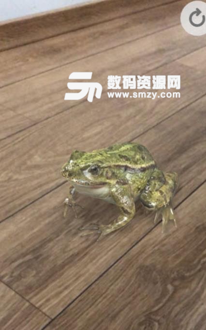 froggipedia免费中文版预约(AR青蛙解剖app) v1.2 安卓手机版