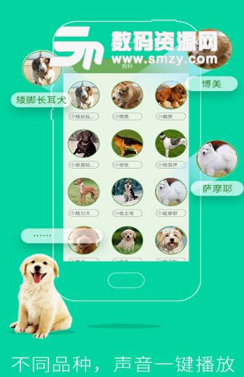 人狗人猫交流器APP(手机人宠交流应用) v2.5 安卓版