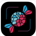 野糖网免费版(网络购物app) v2.11.2 安卓版