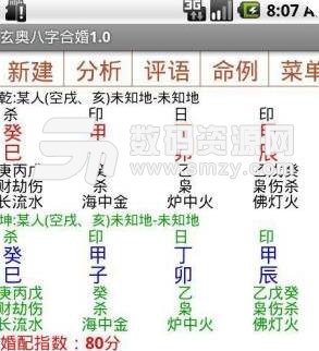 玄奥八字合婚安卓版(婚姻匹配指数) v2.5 手机版