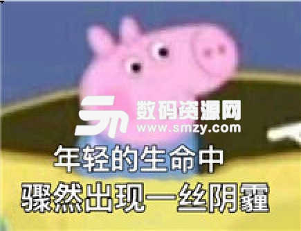 小猪佩奇不差钱表情包