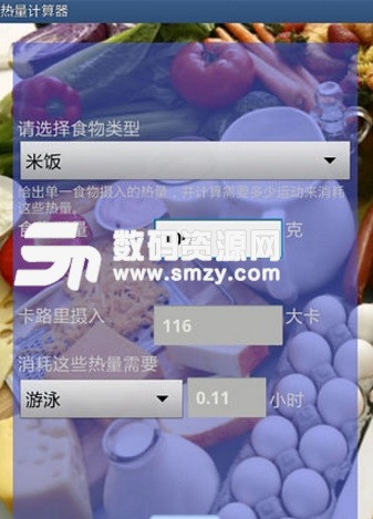 热量计算手机最新版(计算食物热量的减肥软件) v1.1 安卓app