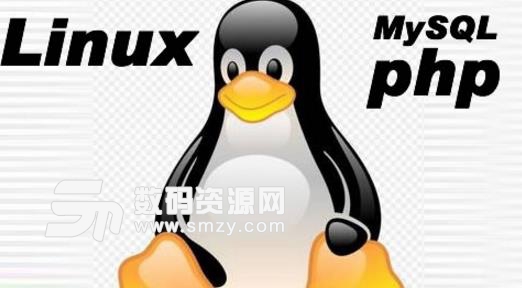 phpstorm for linux最新版