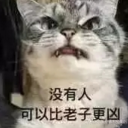 猫凶凶QQ表情包