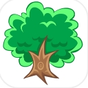 1Tree Pro注册版