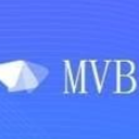 mvb车载录像备份软件