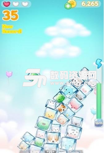 动物果冻Android版(消除游戏) v1.0.0 手机版