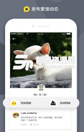 斗宠手机版(宠物社交app) v1.1 安卓版