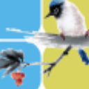 小鸟记账安卓版(理财记账软件) v4.10 免费版