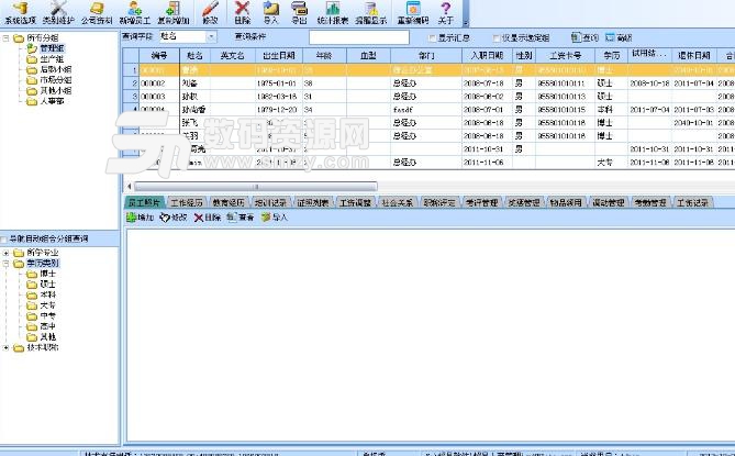 翠鳥通用工資管理係統免費版