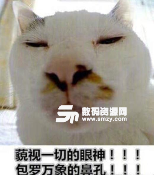 中华别养猫表情包
