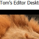 Toms Editor免费版