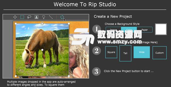 Rip Studio免费版