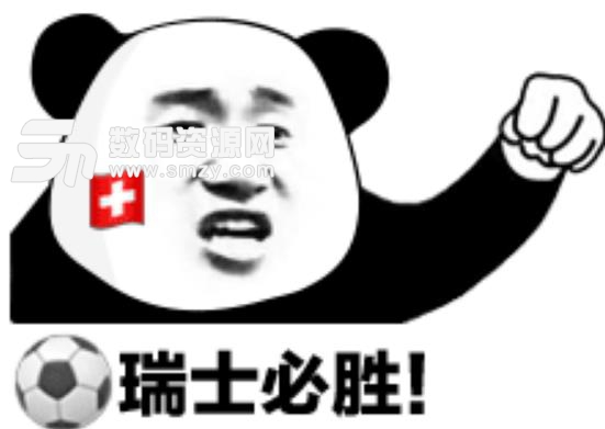 熊猫头应援世界杯微信表情包下载