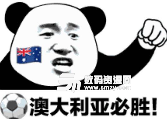 熊猫头应援世界杯微信表情包