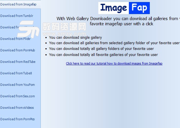 Web Gallery Downloader