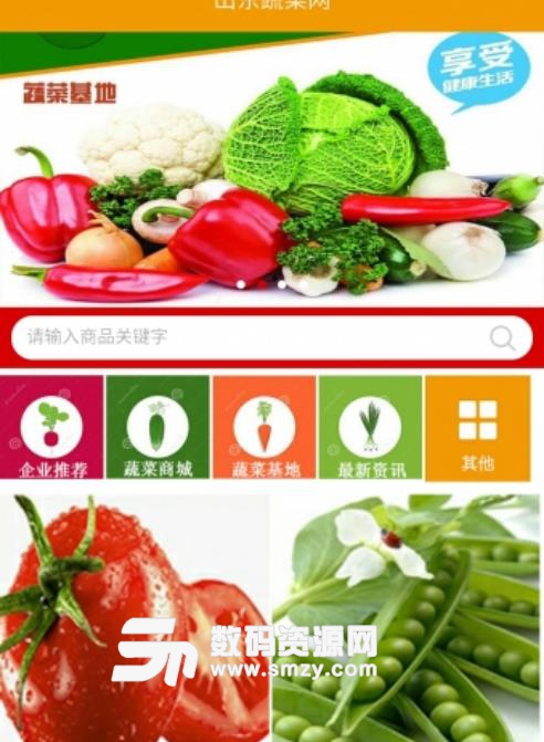 山东蔬菜网APP免费版(当地最好的新鲜蔬菜资讯) v5.2.0 安卓版