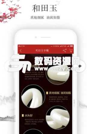 华人之星安卓版(玉石一站式购物) v1.1 正式版