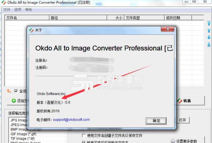 Okdo All to Image Converter Professional已注册版