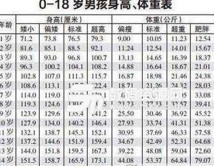 2017最新0一17歲身高表含體重免費版