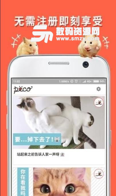 朋宠PECO安卓版(全世界的各种宠物) v1.0 免费版