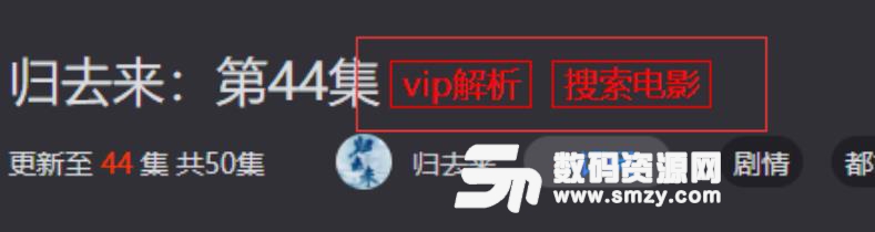 全网vip视频解析去广告插件下载