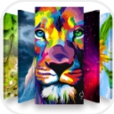 百万极清壁纸app特别版(Million Wallpapers HD) v6.13 安卓免费版