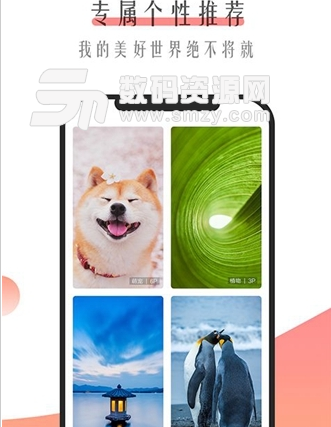 米柚壁纸app(海量壁纸每日不断更新) v1.2.0 安卓正式版