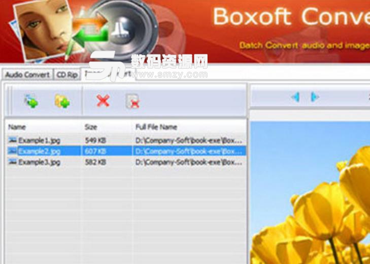Boxoft Converter Master最新版