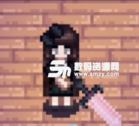 星露谷物语少女系列装备补丁最新版下载