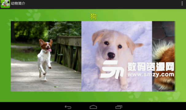 動物簡介安卓版(認識更多動物) v5.6 手機版