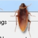 电脑上爬满蟑螂的恶搞软件