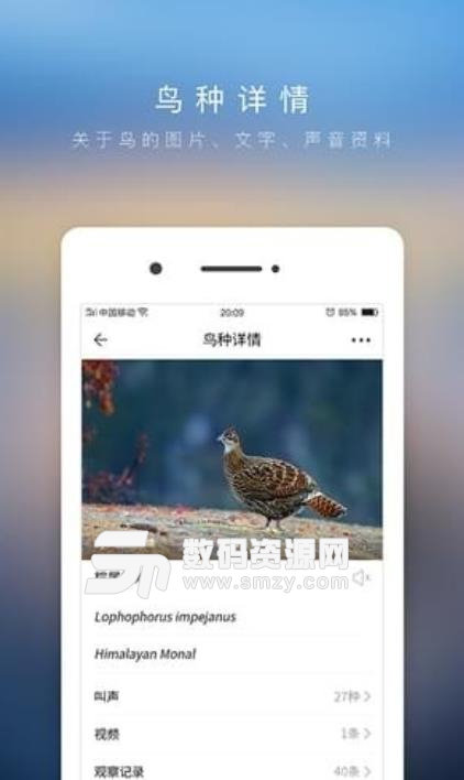 爱鸟安卓版(资讯阅读app) v1.3.0 手机版