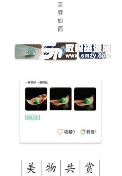 张玉堂app(翡翠玉石购物平台) v1.1 安卓版