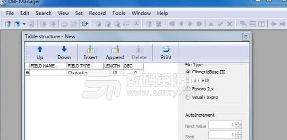 DBF Manager正式版