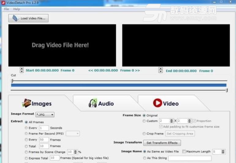 VideoDetach Pro工具
