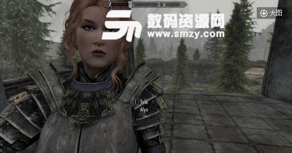 上古卷轴5天际Alyx女性随从MOD