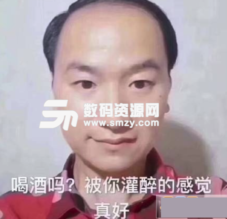 你说是就是吧表情包