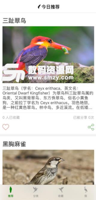 鸟ios手机版(鸟类百科) v2.2 苹果版