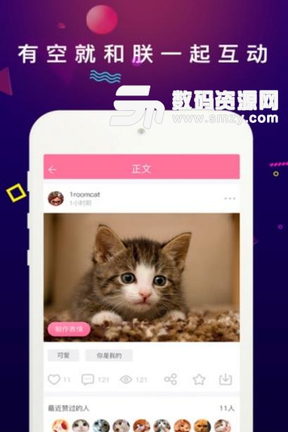 每日一貓安卓版(貓咪的精彩瞬間) v1.3 最新版