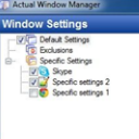 Actual Windows Manager正式版