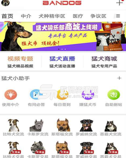 猛犬俱乐部安卓版(各类猛犬资讯) v1.3.1 免费版